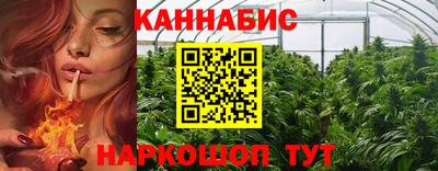 тгк Будённовск