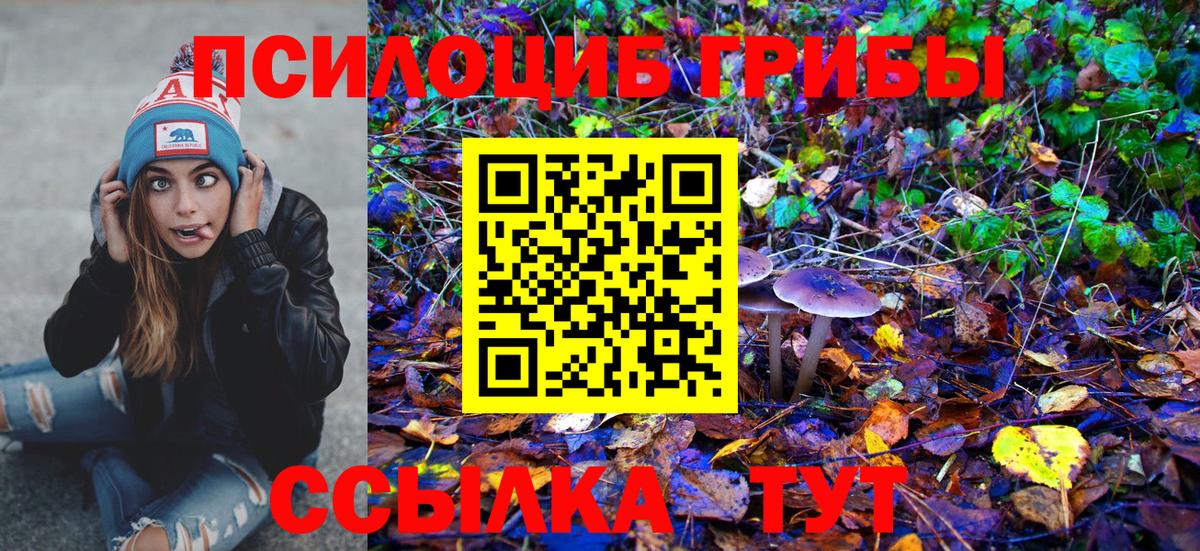 Маркс  Псилоцибиновые грибы Psilocybe  Вход с VPN 